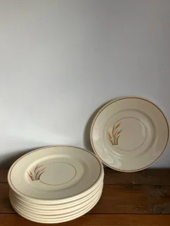 10 assiettes à dessert