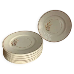 10 assiettes à dessert