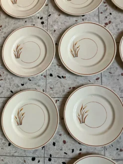 10 assiettes à dessert