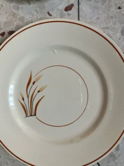 10 assiettes à dessert