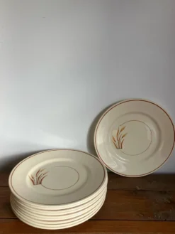 10 assiettes à dessert