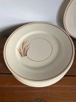 10 assiettes à dessert