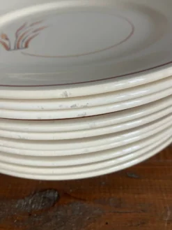 10 assiettes à dessert