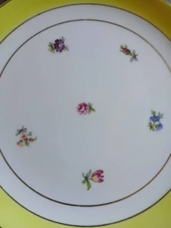 10 assiettes à dessert anciennes Gien
