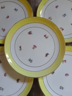10 assiettes à dessert anciennes Gien