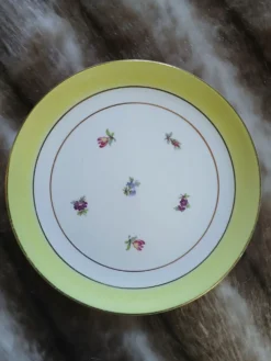 10 assiettes à dessert anciennes Gien