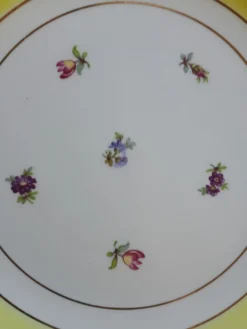 10 assiettes à dessert anciennes Gien
