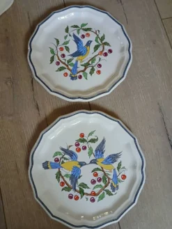 8 assiettes à dessert anciennes Salins