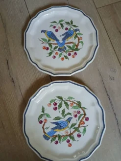 8 assiettes à dessert anciennes Salins