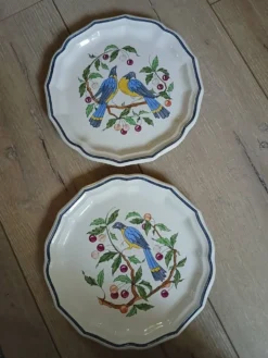 8 assiettes à dessert anciennes Salins