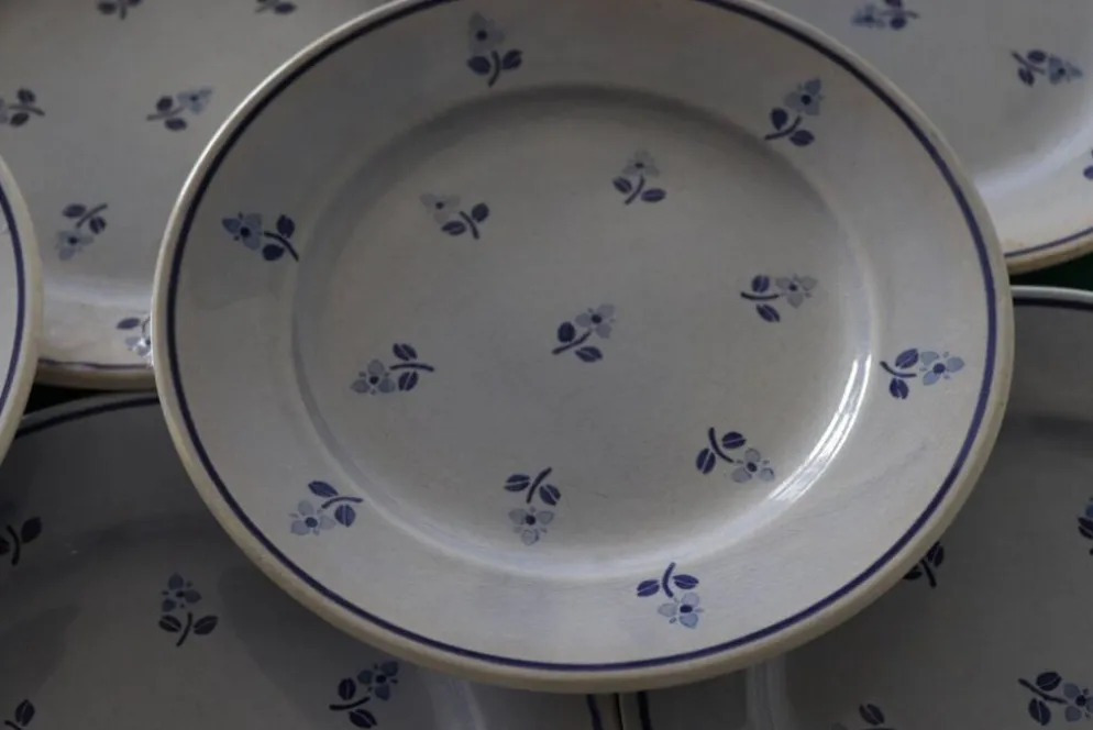 8 assiettes à dessert anciennes bleues fleuries faïencerie nouvelle