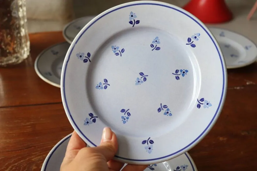 8 assiettes à dessert anciennes bleues fleuries faïencerie nouvelle