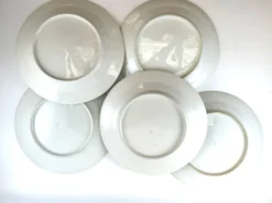 5 assiettes dessert blanche avec liseré vert 19,5cm