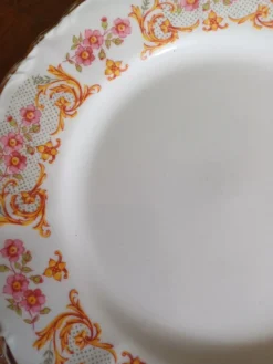 Assiettes à dessert Digoin ×10