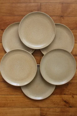 6 assiettes à dessert en grès vintage