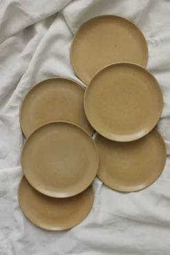 6 assiettes à dessert en grès vintage