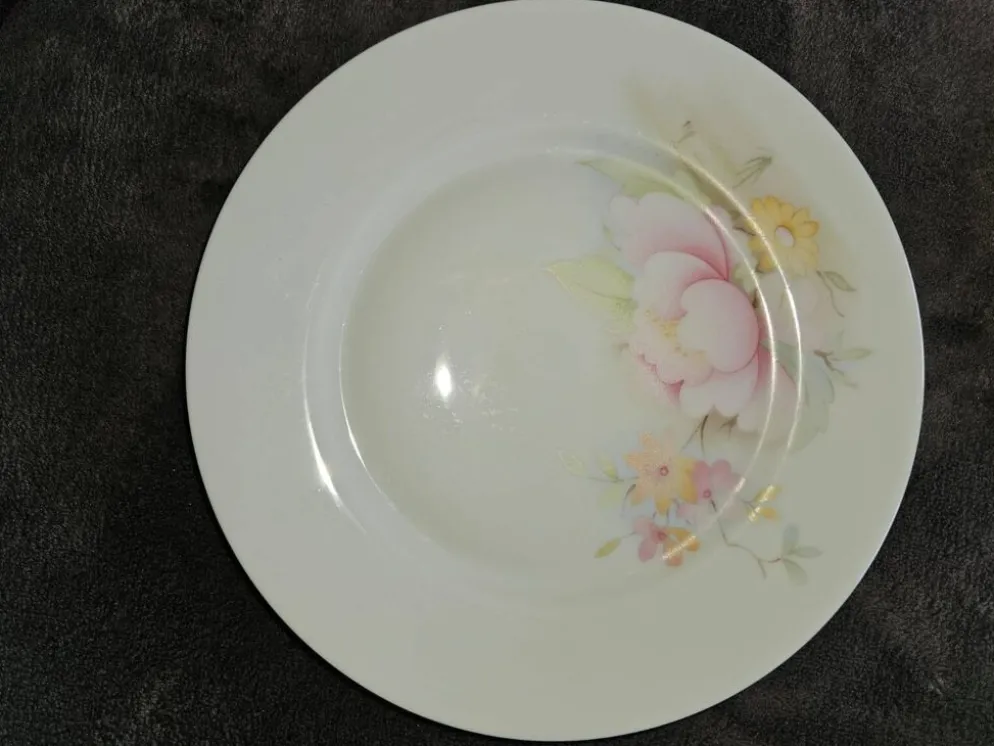 10 assiettes à dessert en porcelaine de Limoges France