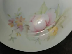 10 assiettes à dessert en porcelaine de Limoges France