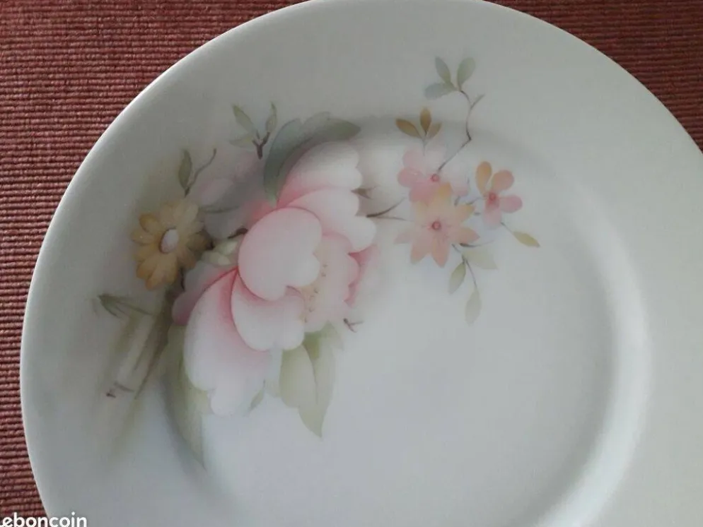 10 assiettes à dessert en porcelaine de Limoges France