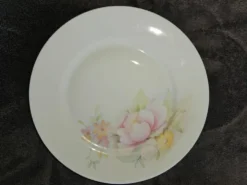 10 assiettes à dessert en porcelaine de Limoges France