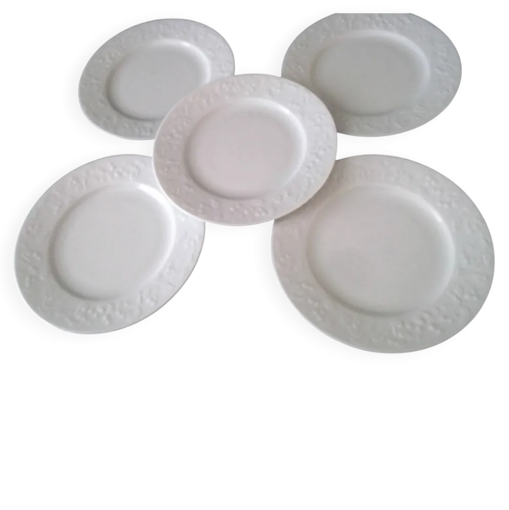 5 Assiettes à dessert en Porcelaine de Limoges