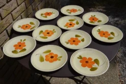 11 assiettes à dessert 