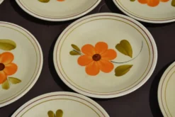 11 assiettes à dessert 
