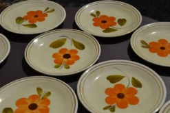 11 assiettes à dessert 