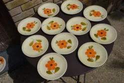 11 assiettes à dessert 