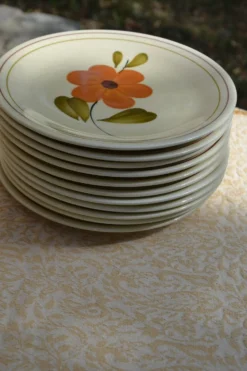 11 assiettes à dessert 