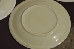 11 assiettes à dessert 