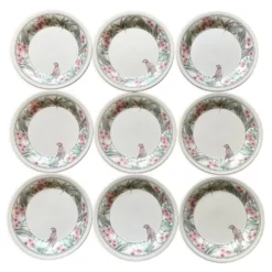 Assiettes à dessert Perroquet Tableware Staffordshire England années 80