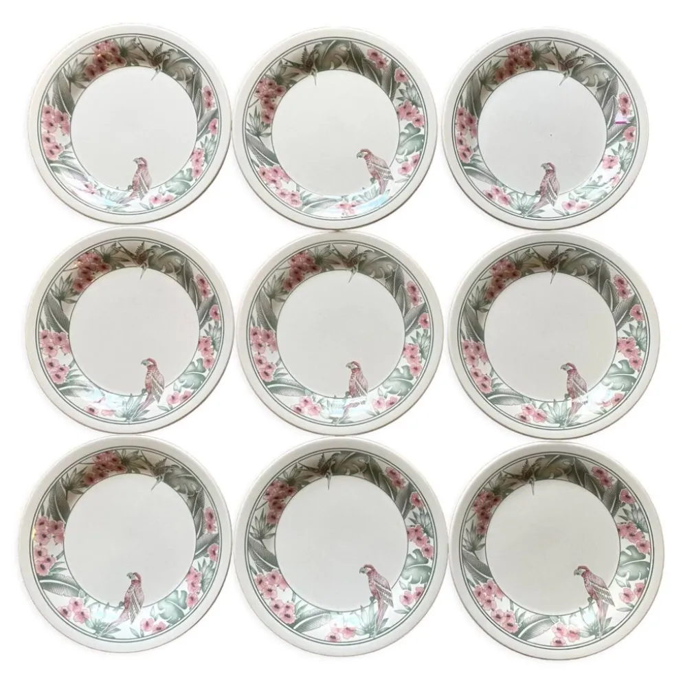 Assiettes à dessert Perroquet Tableware Staffordshire England années 80