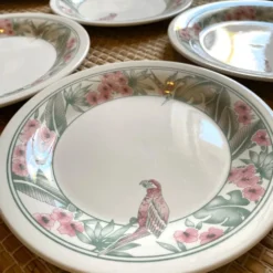 Assiettes à dessert Perroquet Tableware Staffordshire England années 80