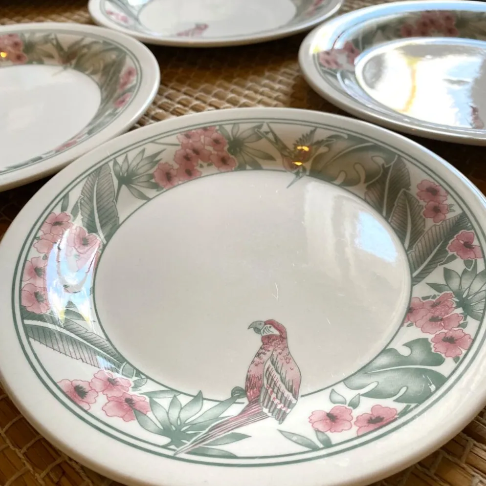 Assiettes à dessert Perroquet Tableware Staffordshire England années 80