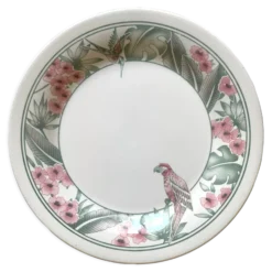 Assiettes à dessert Perroquet Tableware Staffordshire England années 80