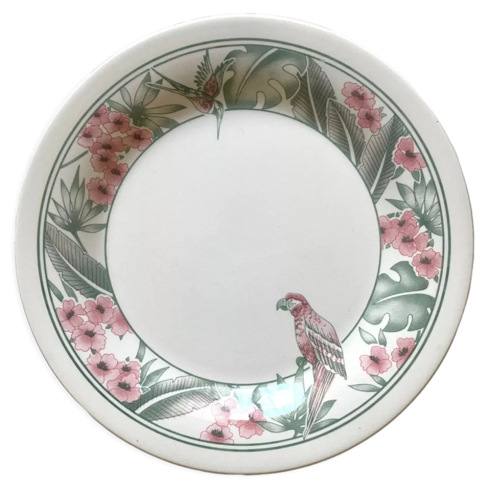 Assiettes à dessert Perroquet Tableware Staffordshire England années 80