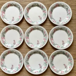 Assiettes à dessert Perroquet Tableware Staffordshire England années 80