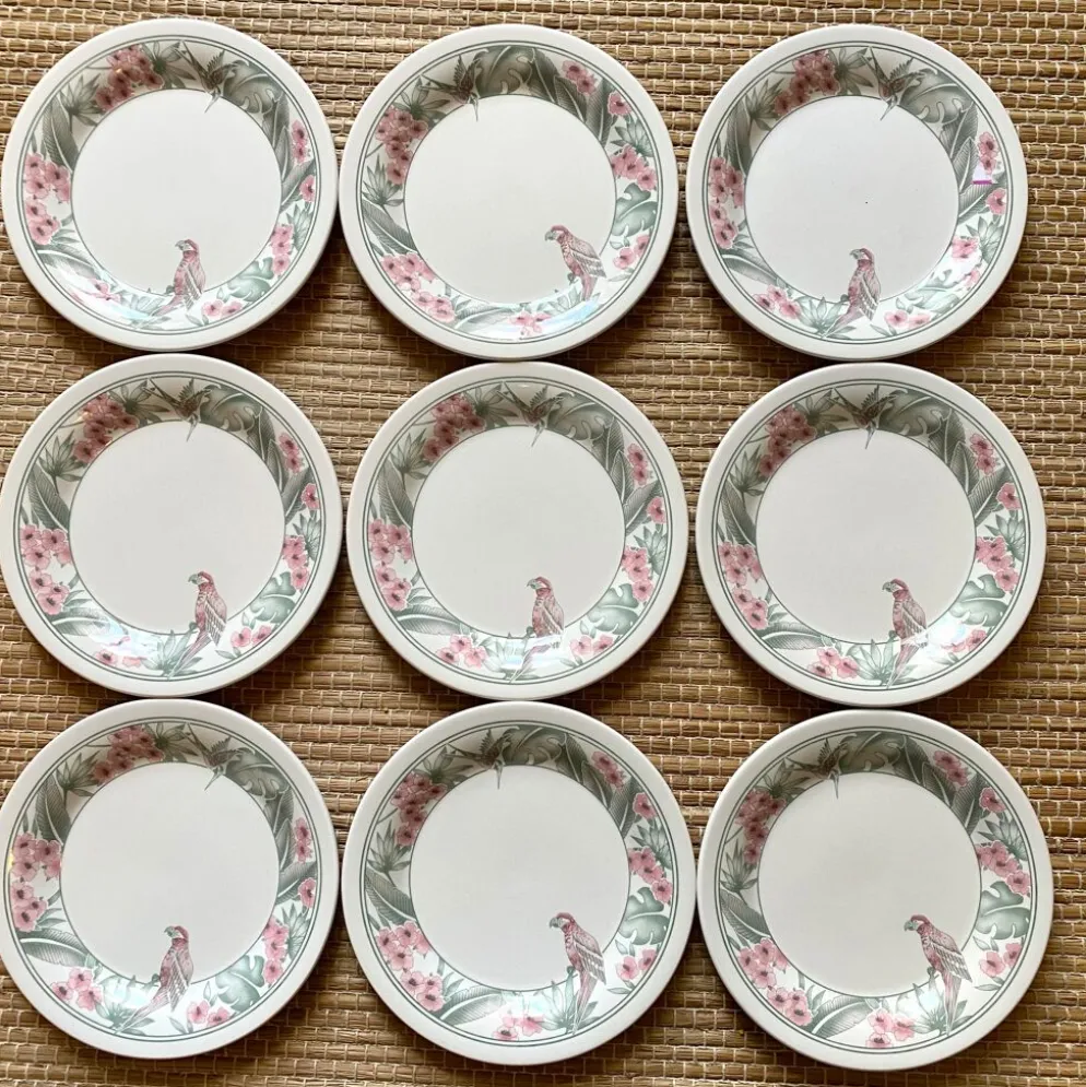 Assiettes à dessert Perroquet Tableware Staffordshire England années 80