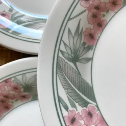 Assiettes à dessert Perroquet Tableware Staffordshire England années 80