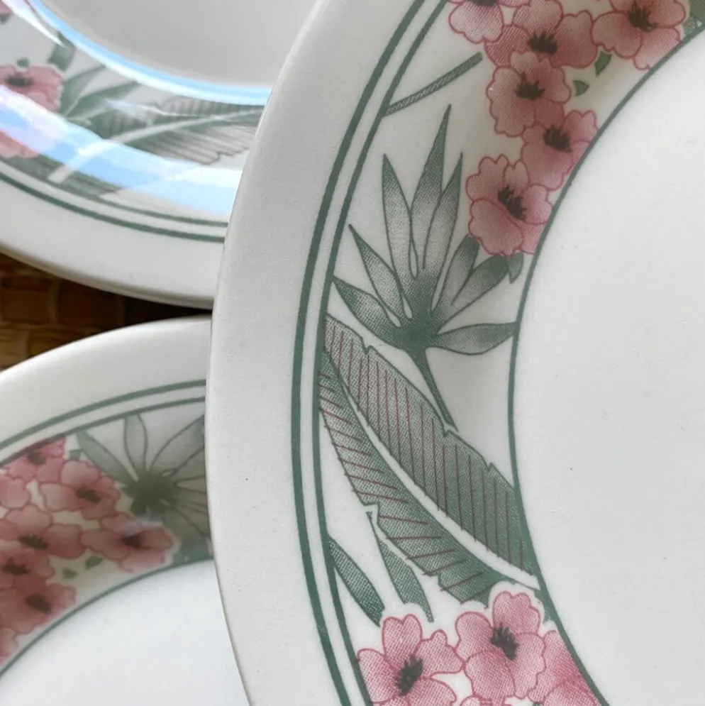 Assiettes à dessert Perroquet Tableware Staffordshire England années 80