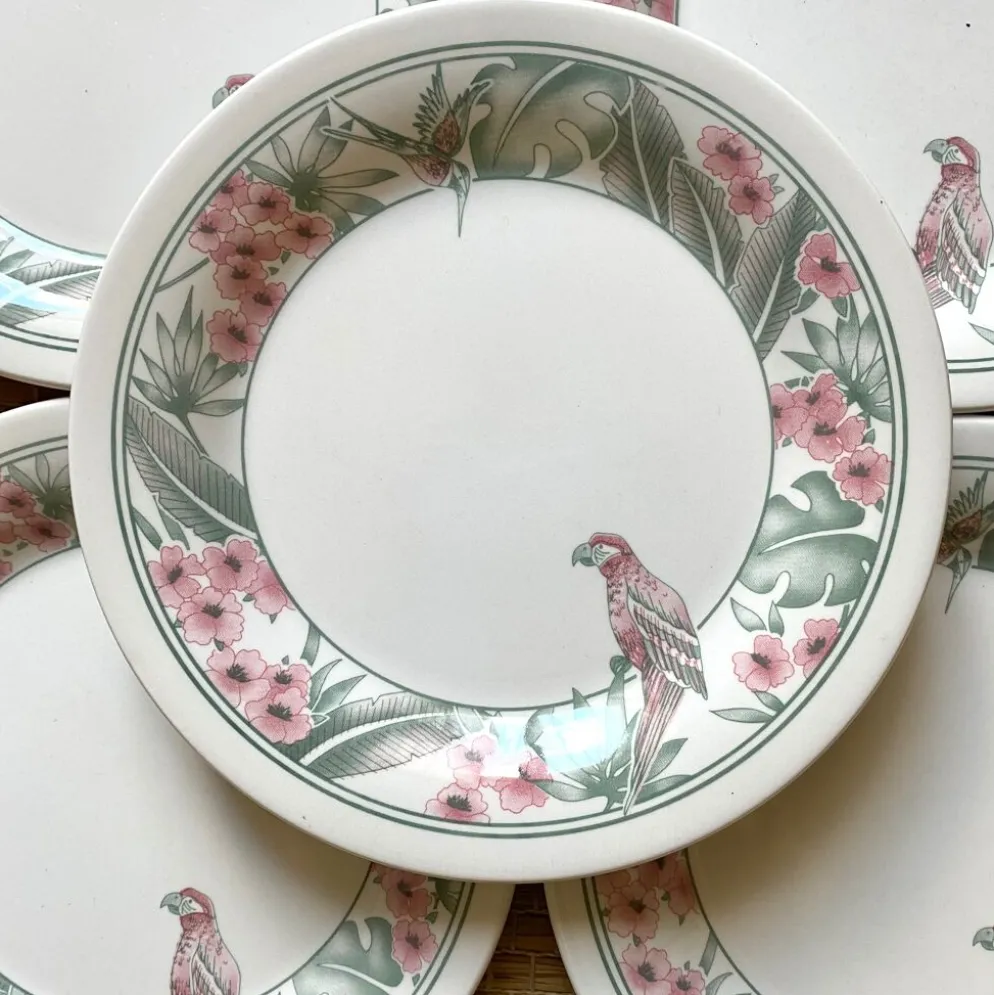 Assiettes à dessert Perroquet Tableware Staffordshire England années 80