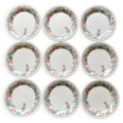 Assiettes à dessert Perroquet Tableware Staffordshire England années 80
