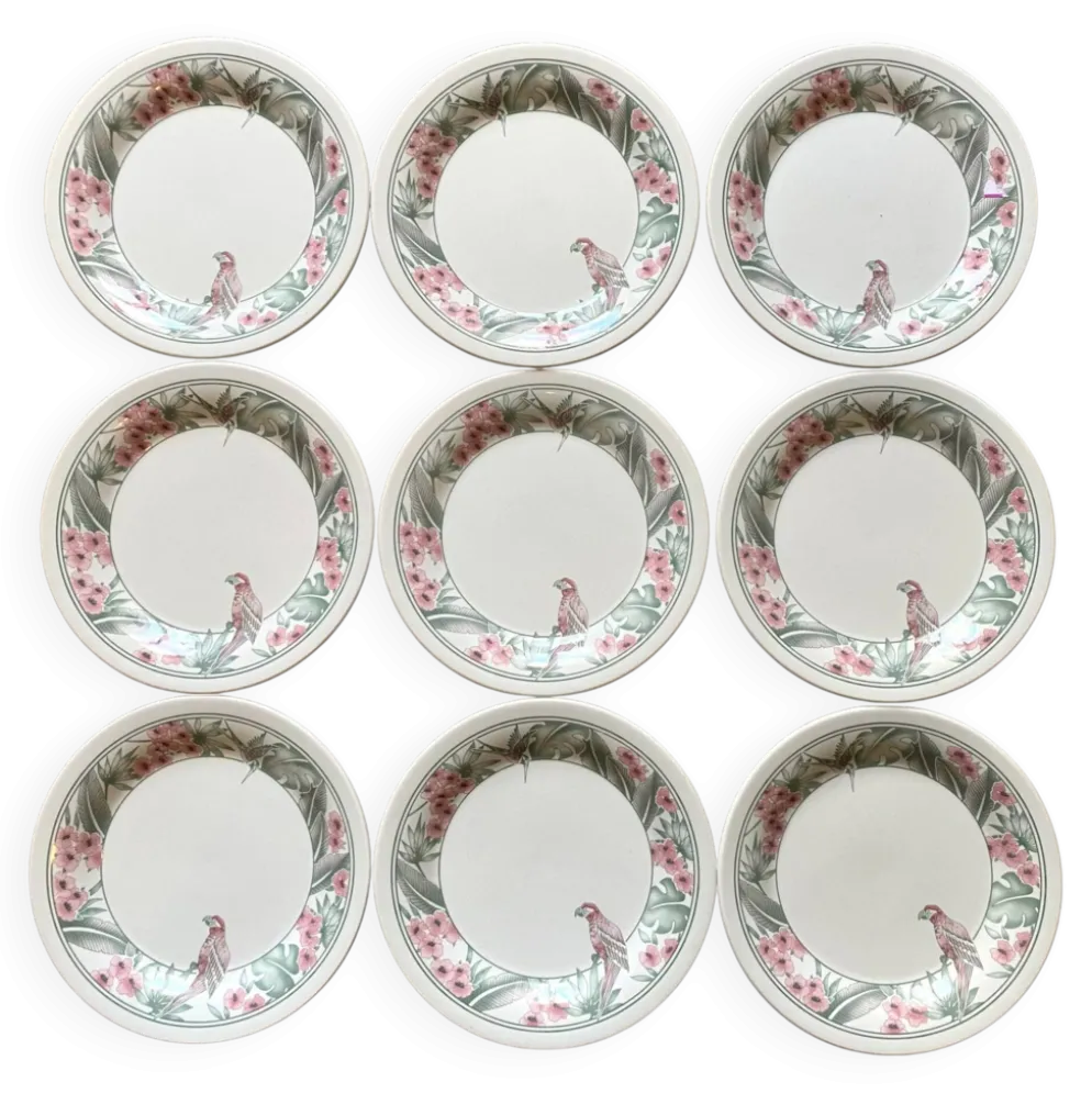Assiettes à dessert Perroquet Tableware Staffordshire England années 80