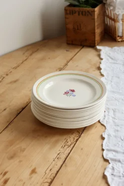 6 assiettes à dessert vintage faïence Saint-Amandinoise Saint-Amand modèle