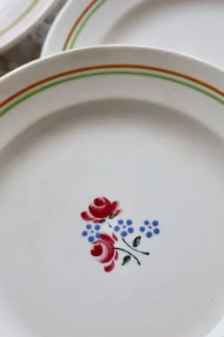 6 assiettes à dessert vintage faïence Saint-Amandinoise Saint-Amand modèle