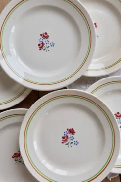 6 assiettes à dessert vintage faïence Saint-Amandinoise Saint-Amand modèle