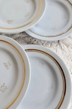 6 assiettes à dessert vintage Moulin des loups modèle Caruso – Faïence bleu