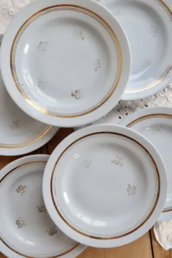 6 assiettes à dessert vintage Moulin des loups modèle Caruso – Faïence bleu