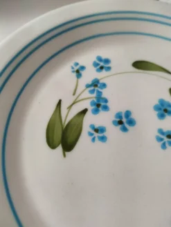 6 assiettes à dessert vintage Quadrifoglio italiennes décor myosotis